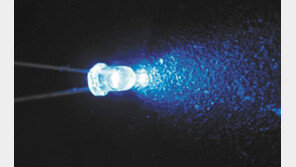 어둠 밝히는 LED 야간 조명 늘어날수록 인간-동물의 수면 건강에는 악영향 