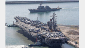 한미 해군, 동해서 연합훈련… ‘레이건’ 항모 등 20여척 참가