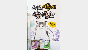 ‘서길동’에 가면 길고양이와 친구가 된다! 