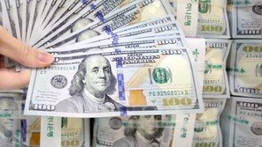 환율 1430원 깨지고 코스닥 700선 붕괴 ‘블랙먼데이’