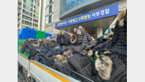 부산에서 120억원대 짝퉁명품 유통업자 7명 불구속 송치