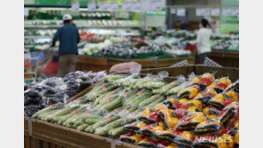 OECD, 韓 성장률 2.8%·물가 5.2% 전망…내년 3.9% ‘고물가’ 지속