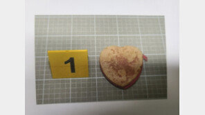 누가 ‘아동용 손지갑’에 권총 실탄 넣어 버렸을까