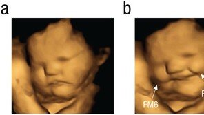 당근에 미소, 케일에 울상…엄마가 먹는 음식맛 태아도 느낀다