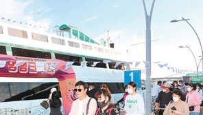 “댕댕이와 크루즈여행 어때요”