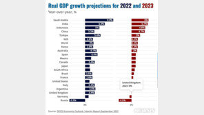 OECD, 내년 세계 경제성장률 2.2%로 하향…“우크라 전쟁 대가”