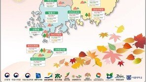 올 단풍 절정기는 10월 하순…남부 일부 11월 초까지