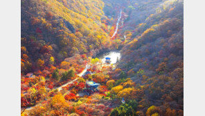 “10월 하순경 단풍 절정”…2022년 단풍예측지도 발표