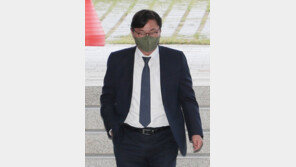‘쌍방울 뇌물’ 의혹 이화영, 영장심사 출석 “혐의 인정 안해”