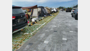 ‘텐트 금지’ 현수막에도 빼곡…주차장 모인 민폐 캠핑족들