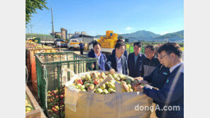 이재식 농협중앙회 부회장, 태풍 낙과피해 현장 점검