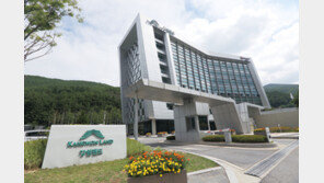 명품매장서 ‘짝퉁’ 판매 논란…강원랜드 “가품은 전시제품, 사실 아냐”