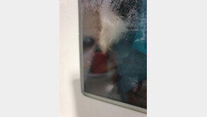 기차역 물품보관함에 가득찬 습기…그안에 강아지 있었다 (영상)