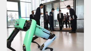 韓 디지털경쟁력, 전세계 8위…인구 2000만 이상 국가 중 2위