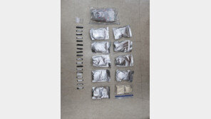 필로폰 2.9kg 97억원어치, 원룸 천장·냉장고에…국내 유통조직 9명 검거