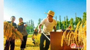 北, ‘허풍금지법’ 제정해 간부들 단속…식량 생산 ‘허위 보고’ 근절