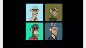 NFT 비즈니스는 진화한다..."좋은 비즈니스 모델을 찾는 것이 중요"