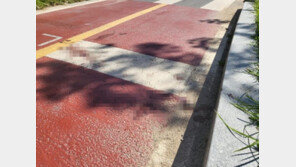 “전동킥보드 뺑소니로 父 하반신 마비 위험…목격자 찾습니다”