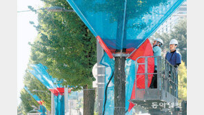 은행나무 악취 제거 그물망 설치