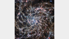 “이게 우리가 알던 은하?”…제임스 웹이 찍은 선명한 ‘나선 은하’