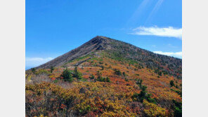 오늘 설악산 첫 단풍 관측…20일 뒤 ‘절정’ 예상