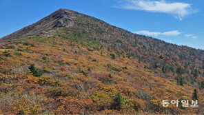 설악산 단풍 시작...지난해보다 하루 빨라
