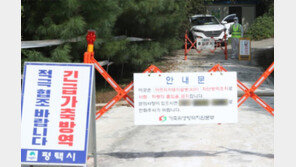 경기지역 3년만에 ‘돼지열병’… 김포-파주서 확진