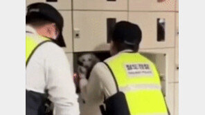 물품보관함서 87시간 만에 구조된 푸들…주인 나타나 “개 없어졌다”