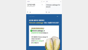 구글 번역기에 ‘김치용 배추’ 입력하면…‘Chinese cabbage’로 번역