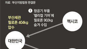 항공기 부품에 숨겨 필로폰 900kg 들여온 밀수범, 징역 30년 선고