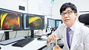 [인하대병원 메디스토리]성인 실명 1위 당뇨망막병증… 당뇨환자는 매년 안과검진 받아야
