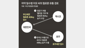 1t 필로폰 밀반입한 마약사범 징역 30년…무기징역 구형한 檢 항소