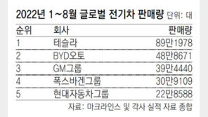 현대자동차그룹, 전기차 판매 5위