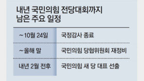 與, 이제 全大로… 당협위원장 물밑전쟁 