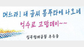 ‘칠곡 할매 글꼴’ 한컴 이어 MS오피스 탑재 