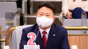 5년간 태양광 패널 수입에 2조 지급…40개국 KS인증 없이 유통