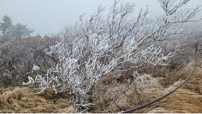 설악산 중청대피소 첫 눈 관측…작년보다 9일 빨라