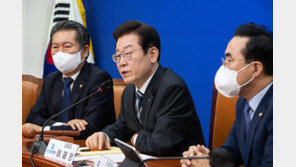 與, 이재명 ‘극단적 친일’ 발언에 “사법리스크 덮으려 하나” 발끈