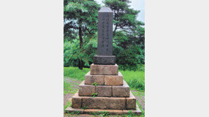 “아우내 독립만세운동기념비는 극일 의지의 산물”