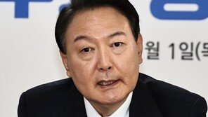 尹 대통령 오늘 국무회의 주재…주한대사 신임장 제정