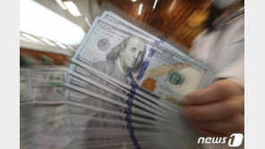 강달러에 ‘큰손’ 된 美관광객…“럭셔리 여행도 늘어”