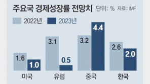 “전쟁-고물가-中침체…세계경제 최악은 아직 오지 않아”