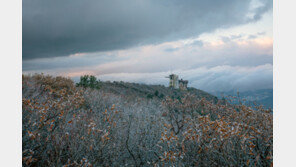 [날씨]출근길 5도 안팎 ‘초겨울 날씨’…경기·강원 일부 얼음·서리도