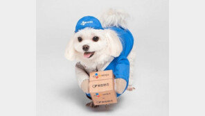 ‘택배견 경태’ 후원금 6억 횡령 택배기사 여자친구 구속