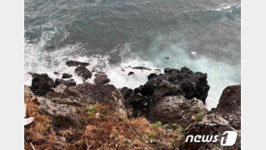 절벽으로 차 몰아 치매노모 숨지게 한 40대 “징역 6년 무겁다”