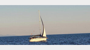 ‘동원령 회피 추정’ 러시안 요트피플 동해상서 어떻게 버텼나