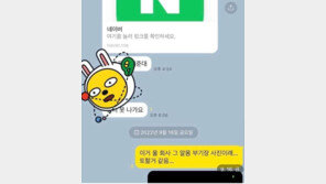 항공사 승무원 단톡방에 부기장 나체 사진 유포?…“2·3차 가해”