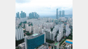 거래 절벽에 중개 보수료 인하까지… 부산 부동산 업계 비명 