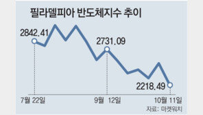 반도체 실적 전망, 14년만에 최대 하락 