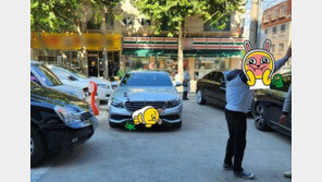 “내 건물인데 왜?”…주차장 입구 막고 차 댄 건물주